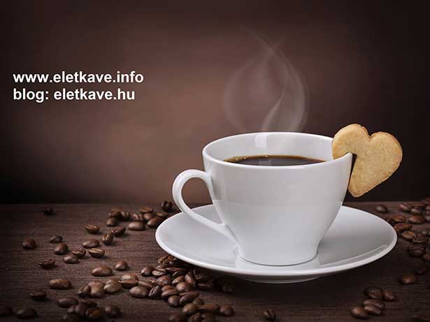 Ganodermás kávé és egészséges életmód